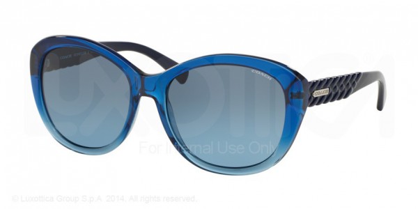 Coach HC8142 L113 Sunglasses, 529017 BLUE GRADIENT (BLUE)