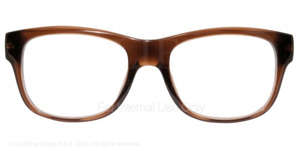 Starck Eyes SH1062 - PL1062 Eyeglasses, 0004 CHOCOLATE