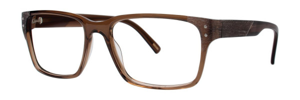 Timex L058 Eyeglasses, Brown