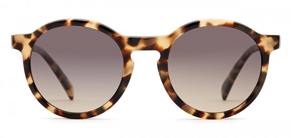 Salt Optics Francine Sunglasses, Blond Havana